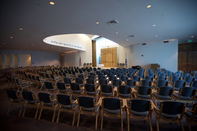 Auditorium at Temple Brawerman School