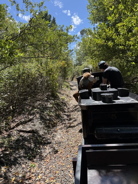 Journey Through the Wilderness