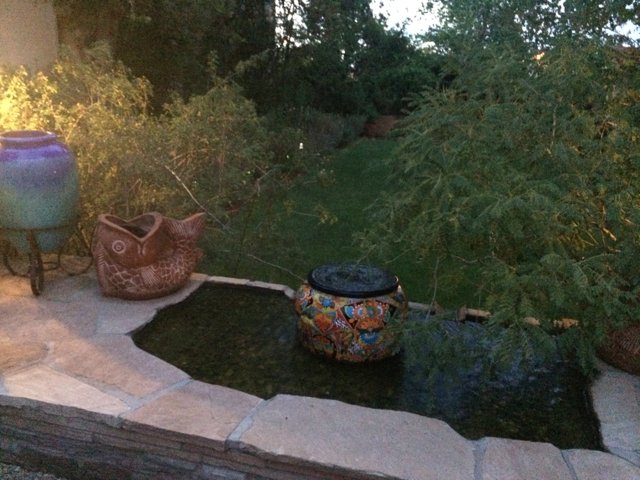 Serene Backyard Garden with Fountain and Pots