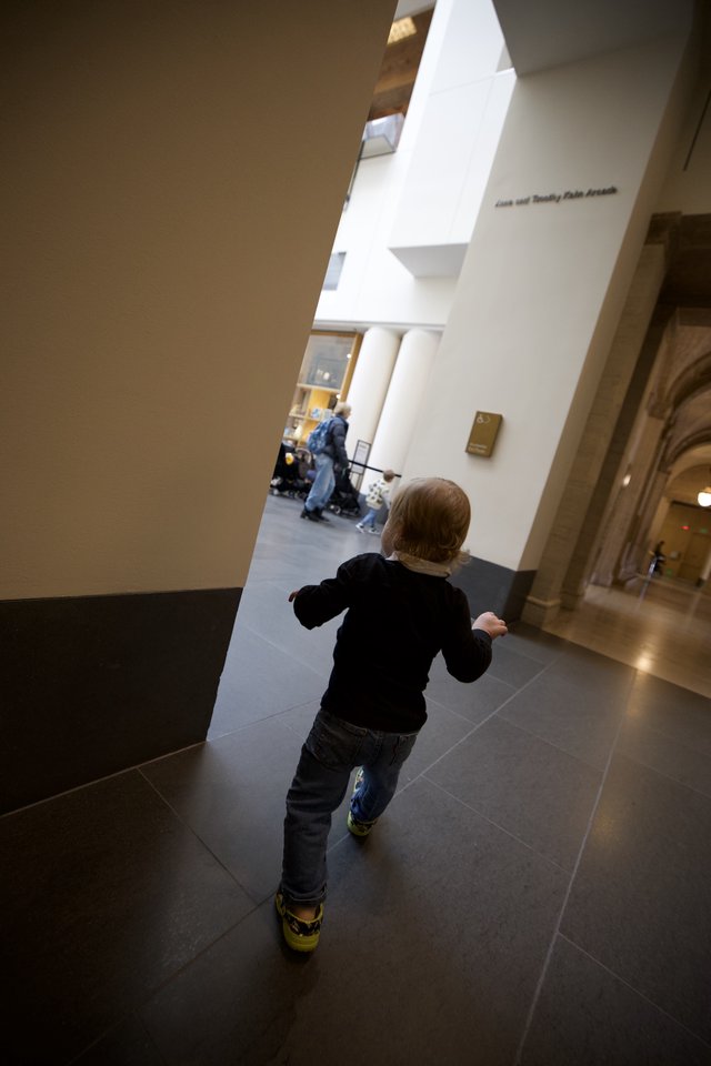 Young Child Exploring Museum Gallery Space