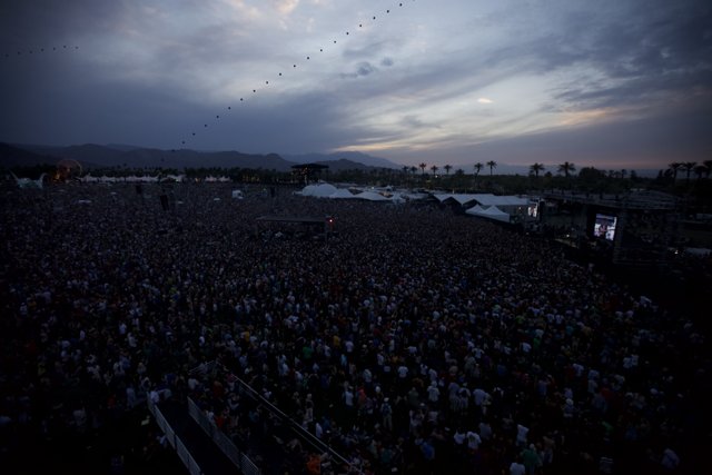 Jam-packed Concert Crowd at Coachella 2010