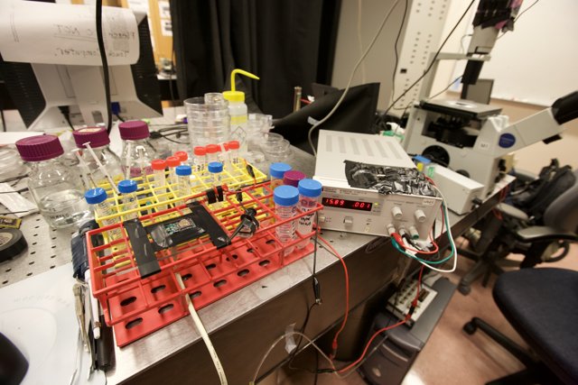 Lab Setup: Microscopy and Computing