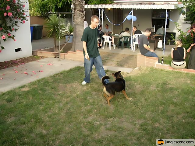 Man and Dog Play Frisbee in the Backyard