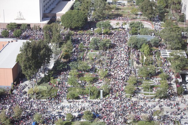 Massive Crowd Gathers in Downtown Metropolis