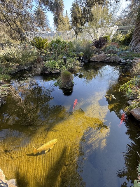 Tranquil Reflections