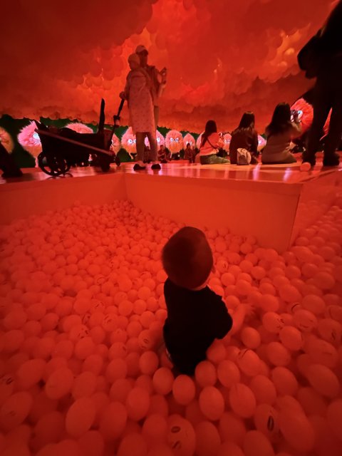 Exploring Wonders: A Day at the Art Installation