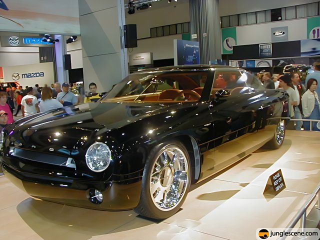 Black Convertible Sports Car at the LA Auto Show