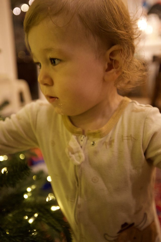 Young Child Mesmerized by Christmas Tree Lights