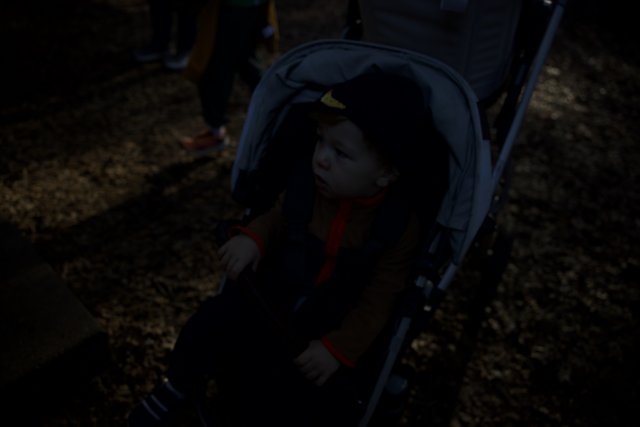 Autumn Stroll at Thistlewyck
