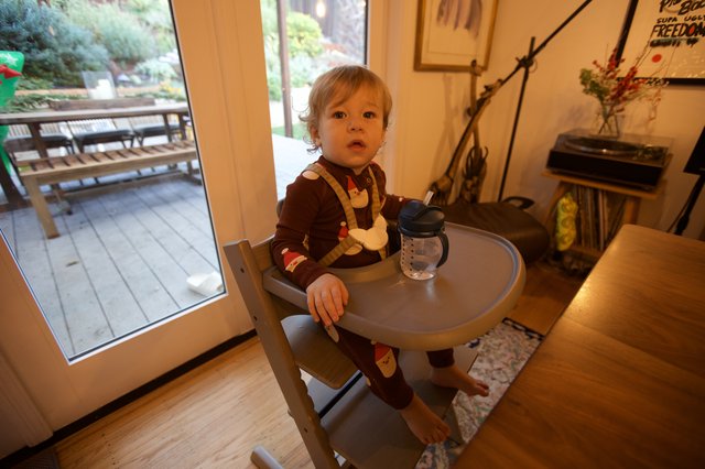 Toddler in High Chair During Christmas Celebration