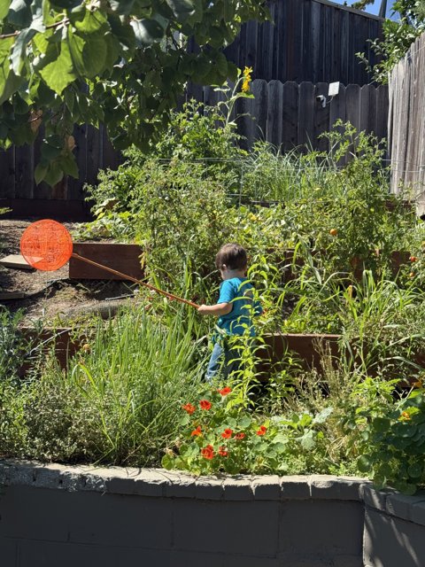 Garden Explorer