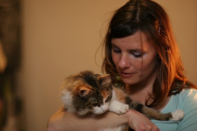 Woman Tenderly Cradling a Calico Kitten Indoors