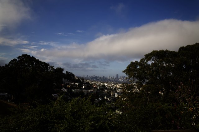 Panoramic Vista of the Urban Jungle