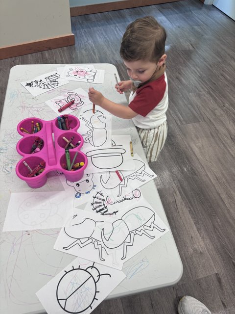 Little Artist at Work