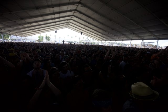 Music Madness Under the Tent