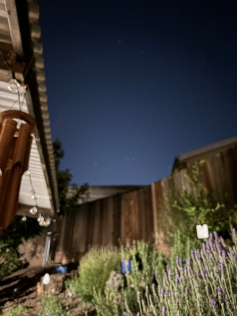 Twilight Whispers in the Garden