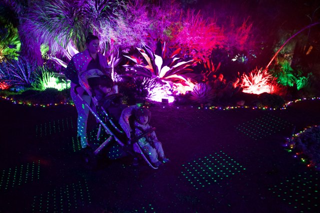 Enchanted Evenings at Garden of D'Lights