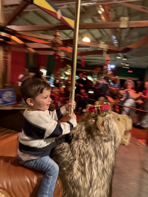 Whirls of Joy at the Carousel