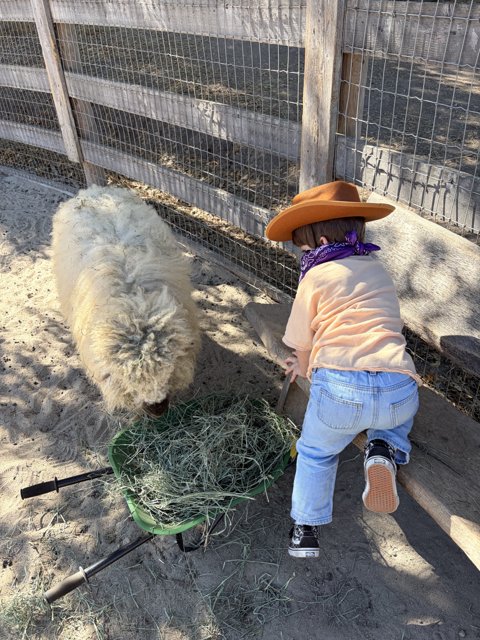 Country Adventures in Carmel Valley