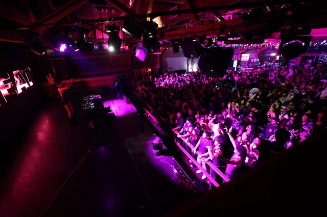 Massive Crowd Surges at Wobbleland 2026 Festival