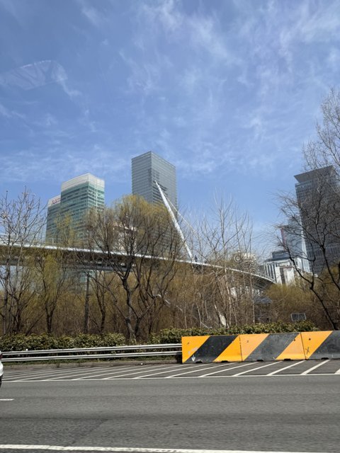 Urban Cruise in Seoul, 2024