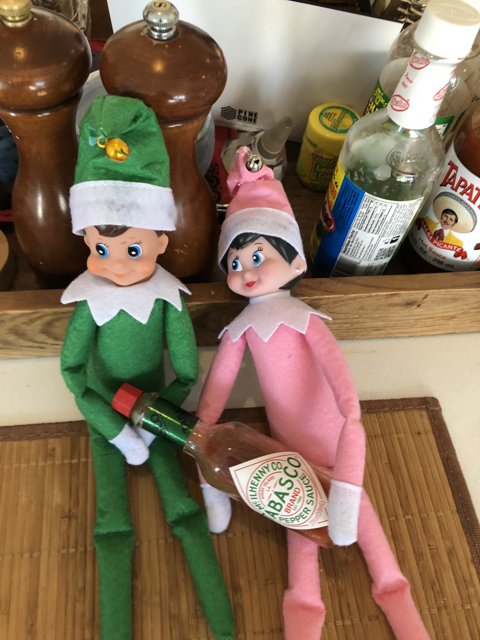 Elves and Hot Sauce