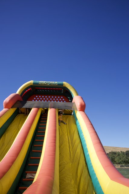 Joyful Ride on a Sunny Slide