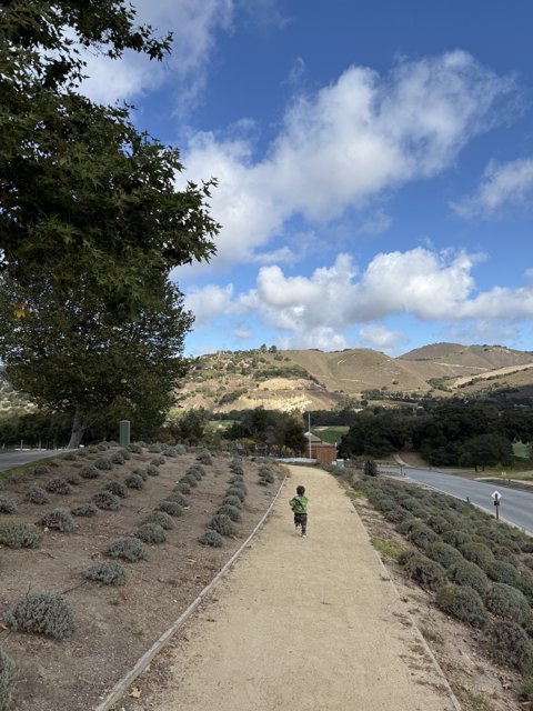 Stroll Through Carmel