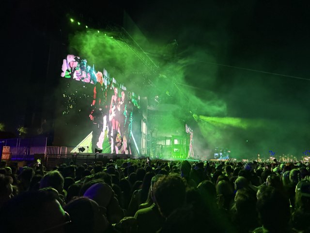 Electric Vibes Under the Stars