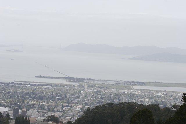 Aerial View of San Francisco Bay and Cityscape