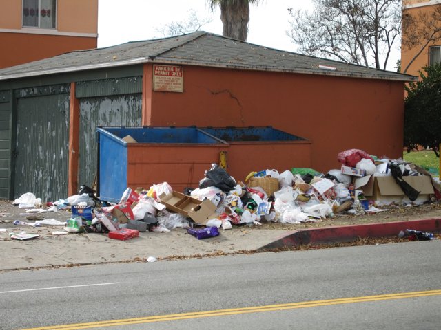 Trash Pile on the Road