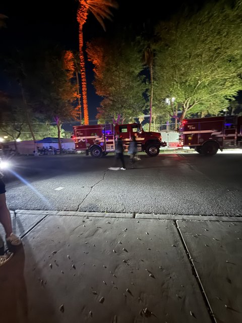 Nighttime Encounter at Empire Polo Club