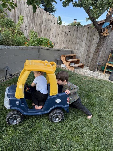 Backyard Adventures: A Playful Journey