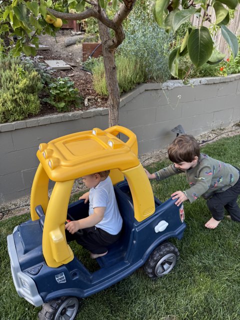 Backyard Adventures