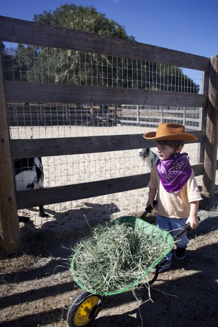 Little Rancher in Action