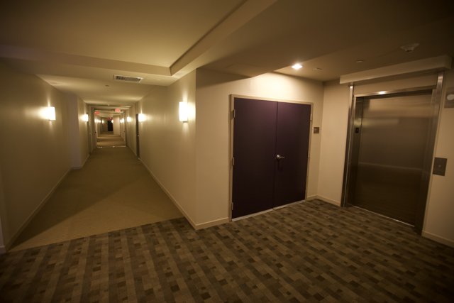 Sleek and Modern Hallway