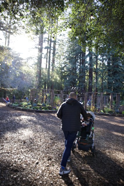 A Stroll Through Thistlewyck Grove