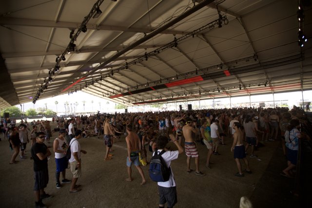 The Thrilling Crowd at Coachella Music Festival