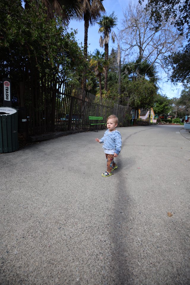 Toddler Exploring Path at Tree-Lined Park