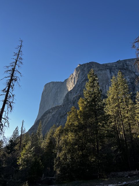 Majestic Half Dome in Yosemite