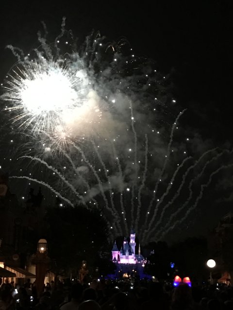 A Dazzling Firework Spectacle at Disneyland