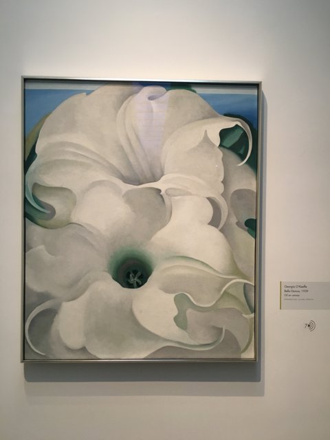 White Geranium in Modern Art