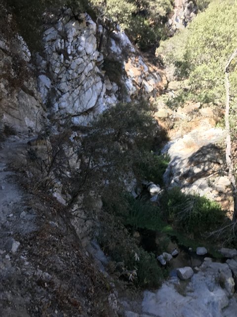 Trekking the Mighty Slopes of the Angeles National Forest