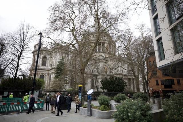 St Paul's Cathedral Through Bare Winter Trees