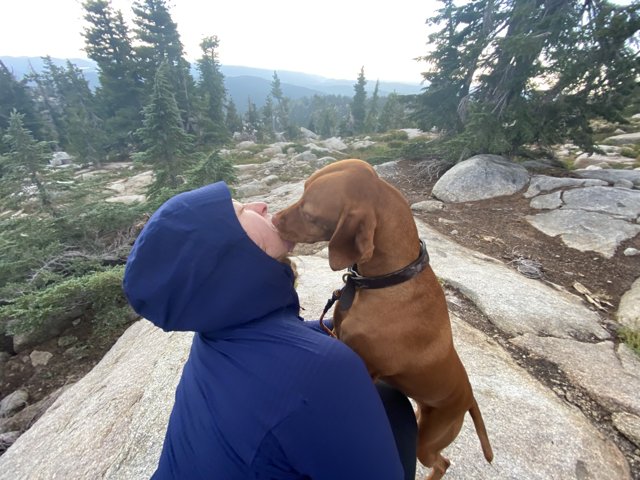 A Woman's Love for Her Vizsla