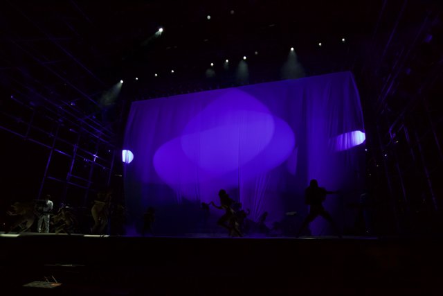 Purple Haze Stage