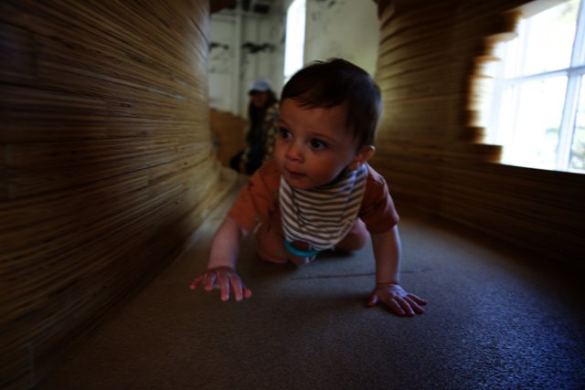 Wesley's Crawling Adventure at the Museum
