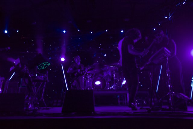Rocking Out Under the Purple Lights