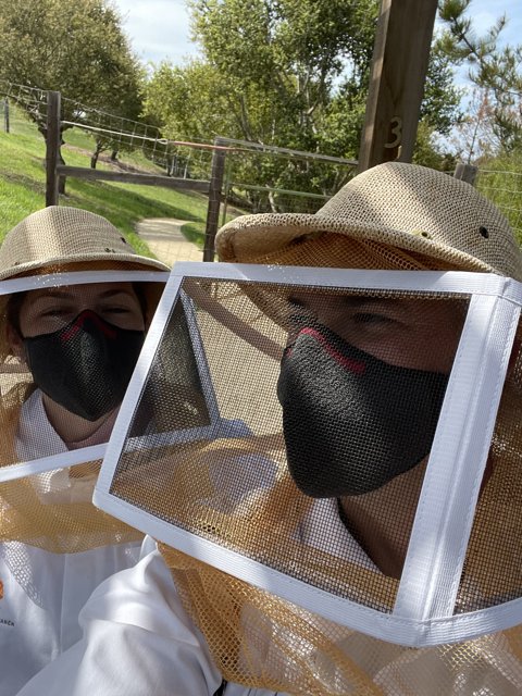 Busy Beekeepers