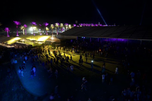 Night Lights and Urban Delights at Coachella
